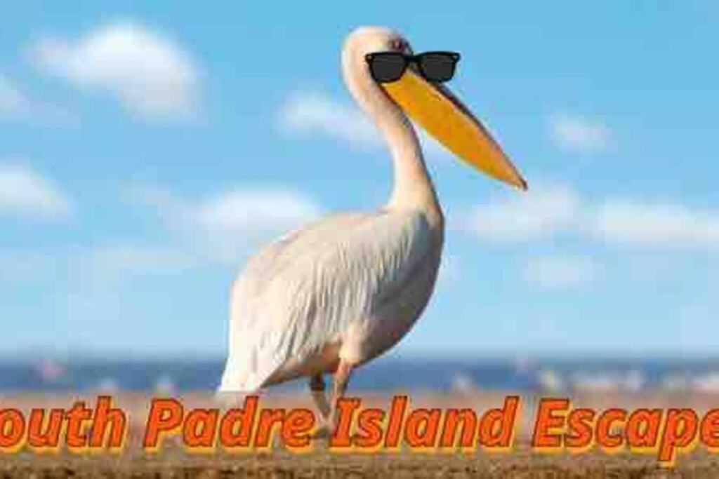 Coronado Get-Away At Fantasy Circle South Padre Island Exterior foto